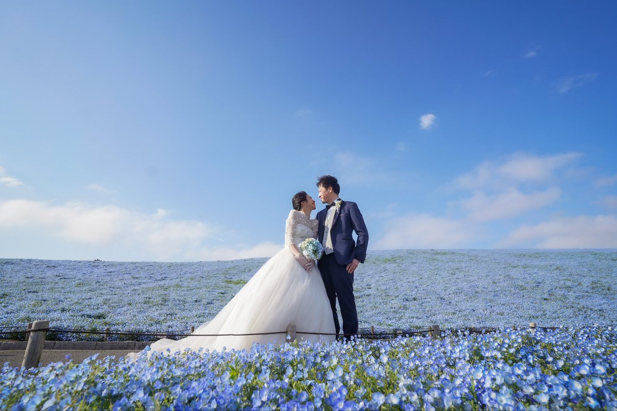 ドレスショップ「ブランシェ」ひたちなか【公式】 tweet media