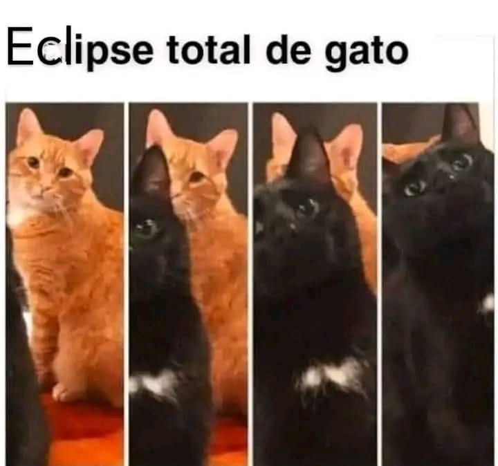 Manu Saenz💛💛 tweet media