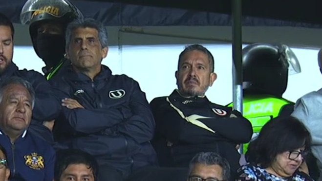 CALIXTO° tweet media