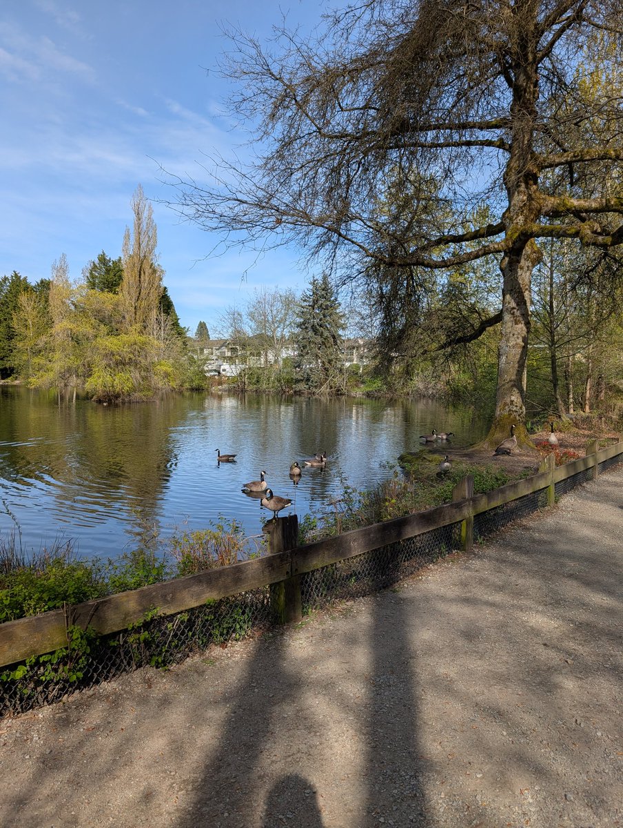 garygetsup's tweet image. Had to get in a walk in the park late Sunday afternoon. 😎 

#NotABot