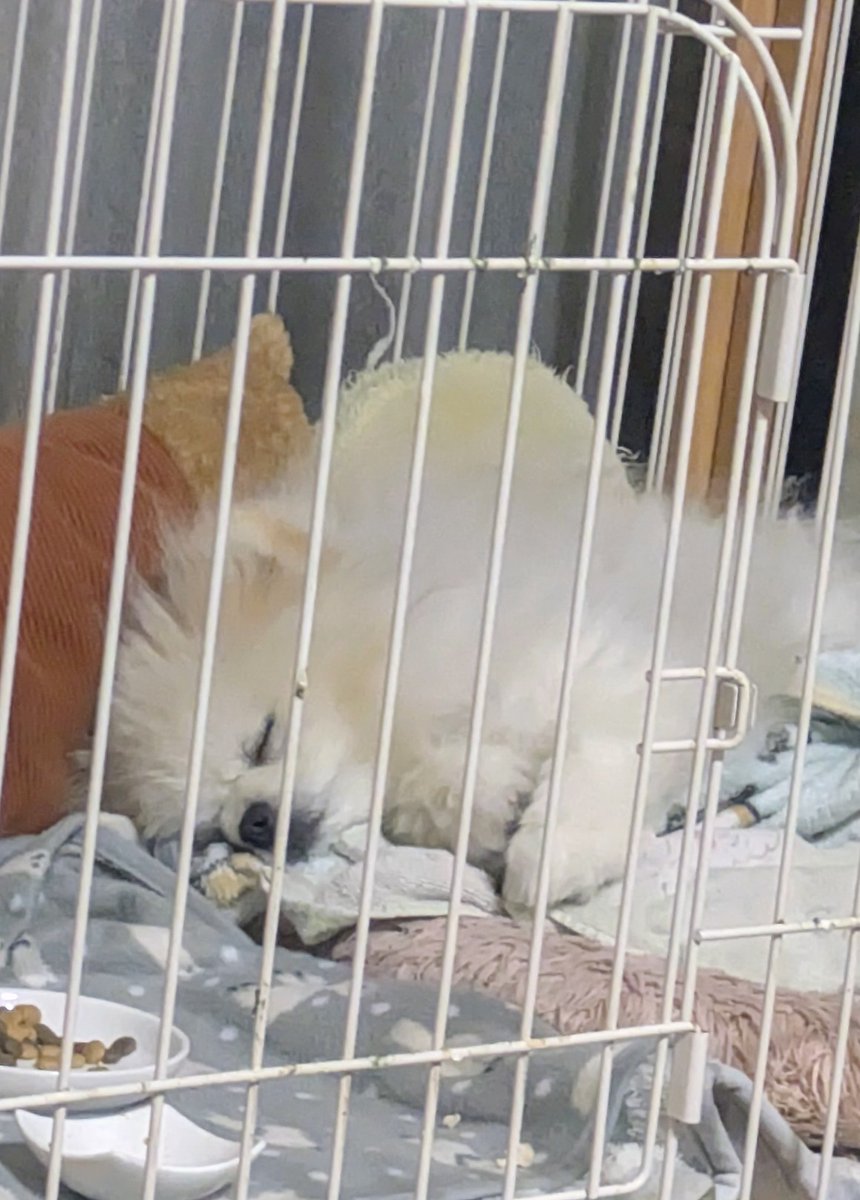 Lefrancルフラン tweet media