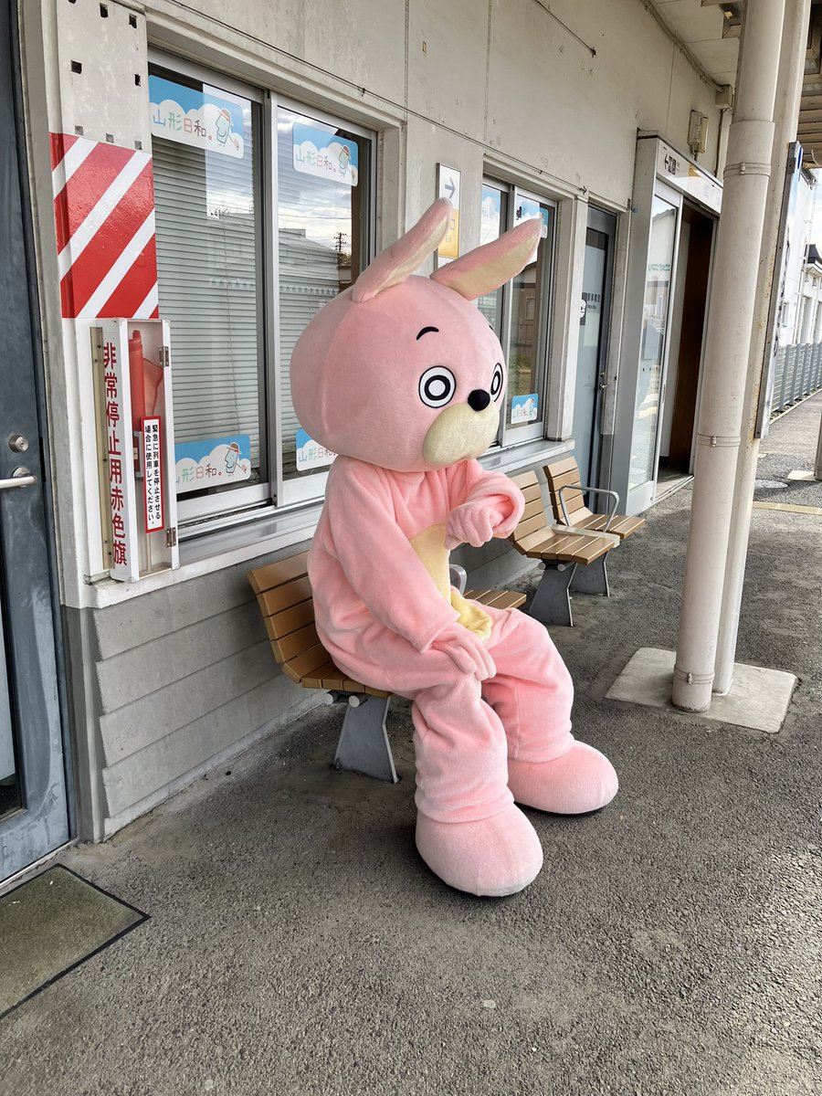桃色ウサヒ tweet media