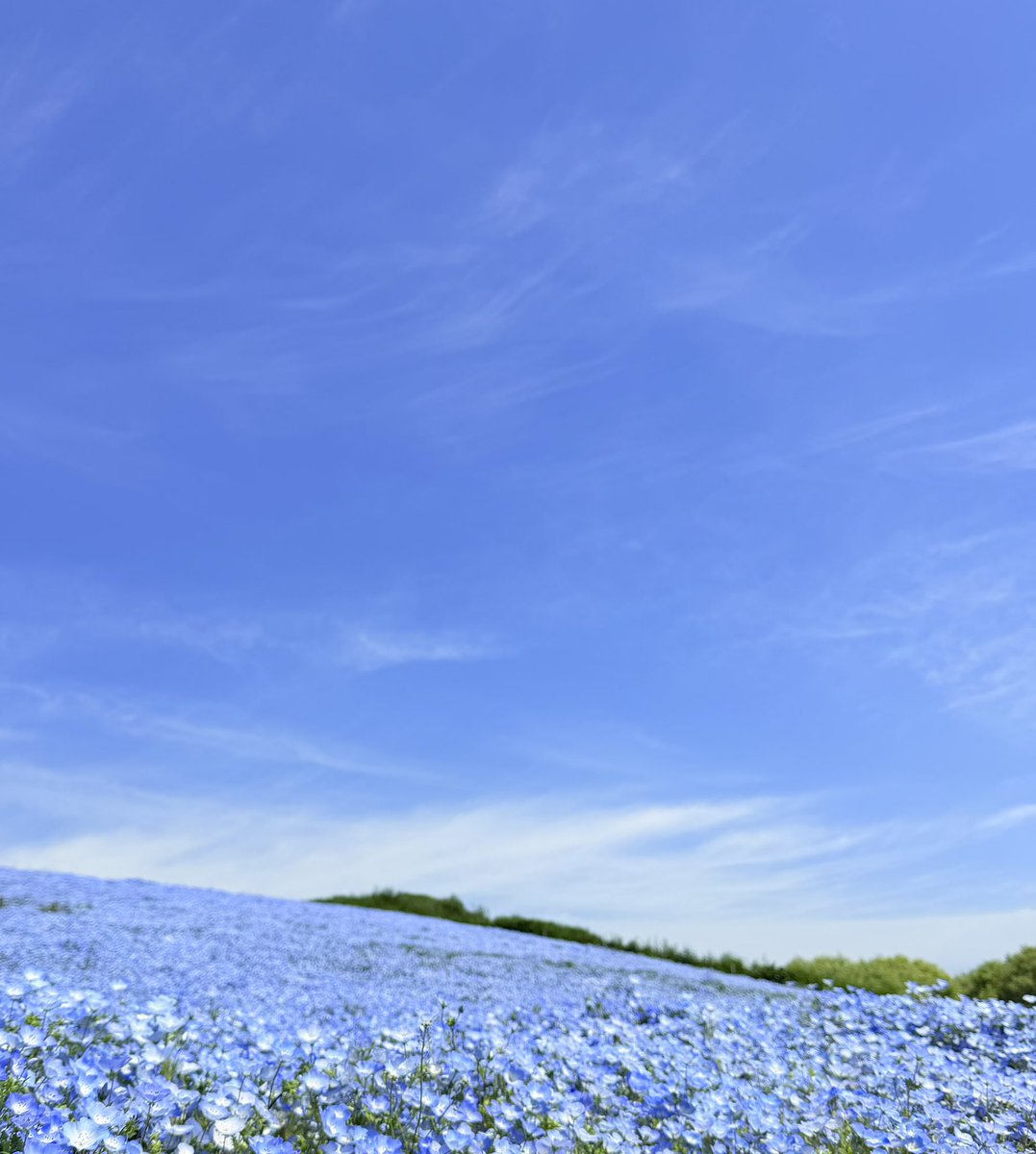 あやこさんの趣味 tweet media