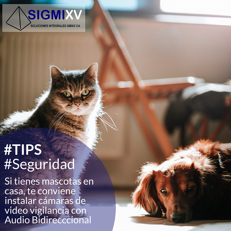 SIGMIXV's tweet image. #Tips #Seguridad

Aprovecha las cámaras de video seguridad que instales en tu casa, para poder interactuar con tus mascotas cuando no estés