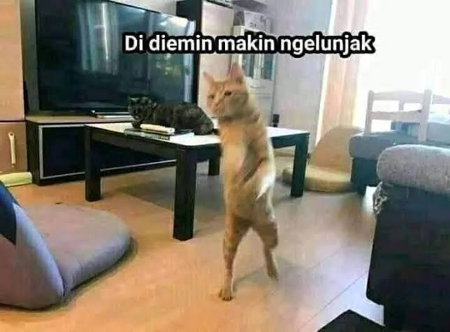 anaamarie tweet media