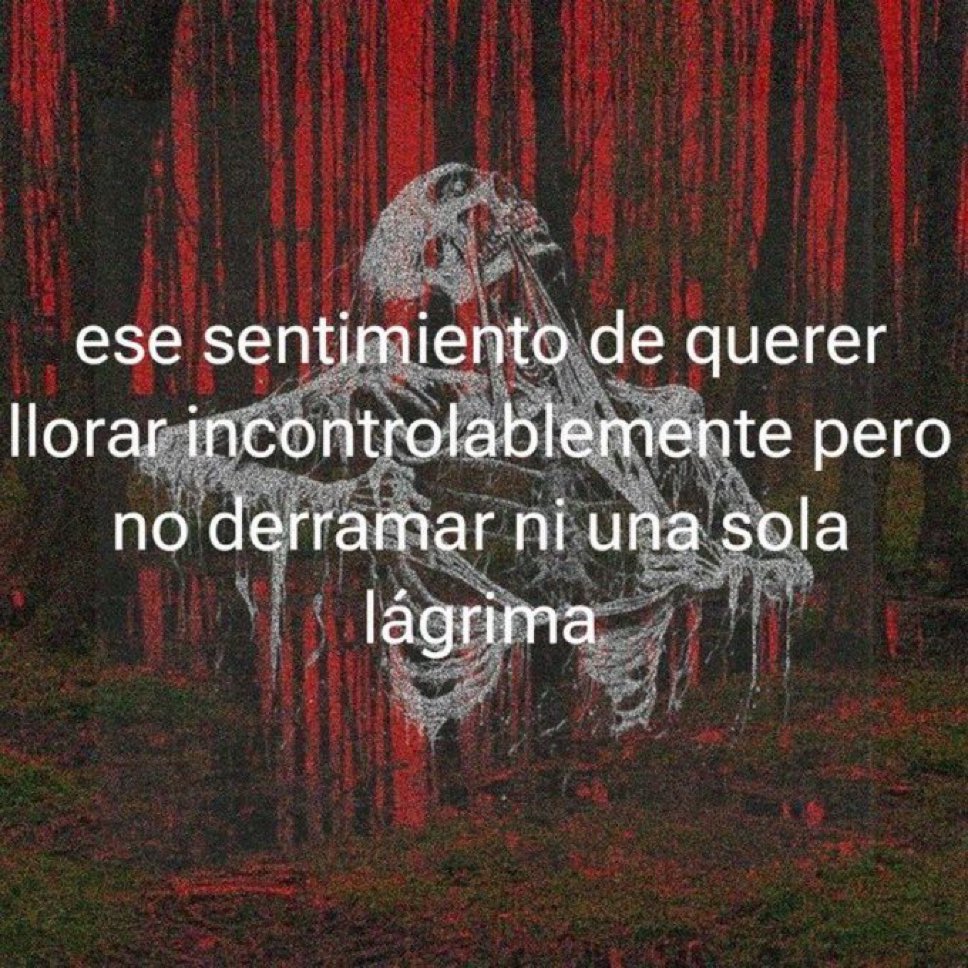 🌙 mini textos (@soyminitextos) on Twitter photo 