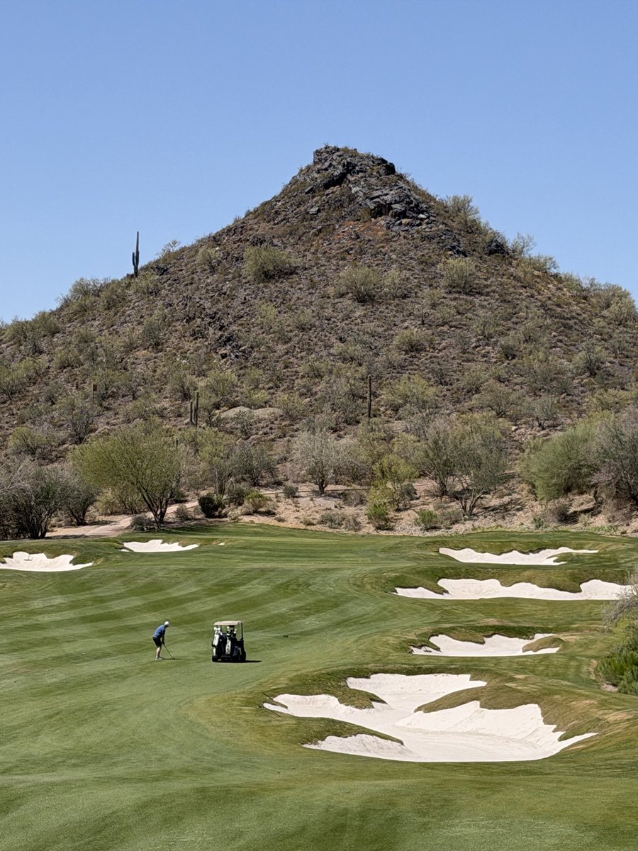 Chase Daniel tweet media