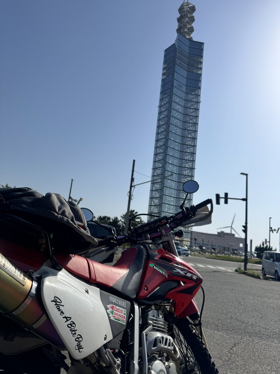 _Ito@🐶(←together 4ever) tweet media