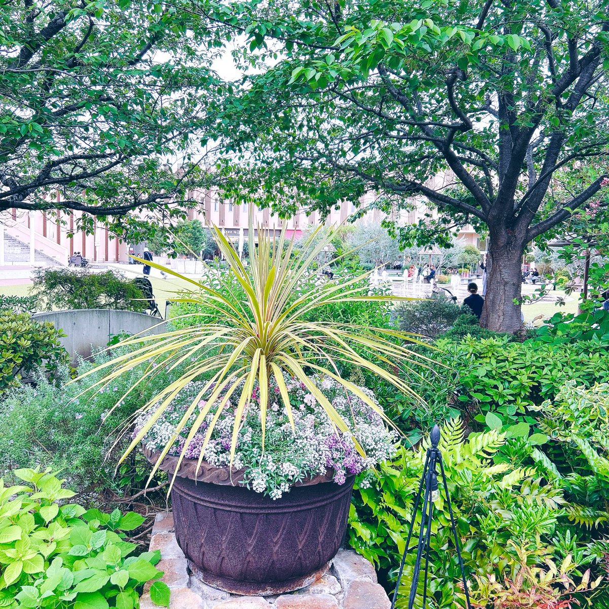 🐾*𖦞𖠚𓂃🐻‍❄️ྀི𝔹e𝕒rEm𝕚🐻‍❄️ྀི𓂃𖠚𖦞*🐾 tweet media