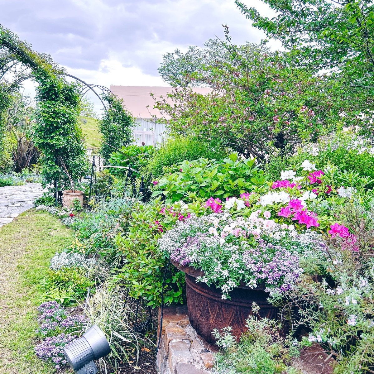 🐾*𖦞𖠚𓂃🐻‍❄️ྀི𝔹e𝕒rEm𝕚🐻‍❄️ྀི𓂃𖠚𖦞*🐾 tweet media