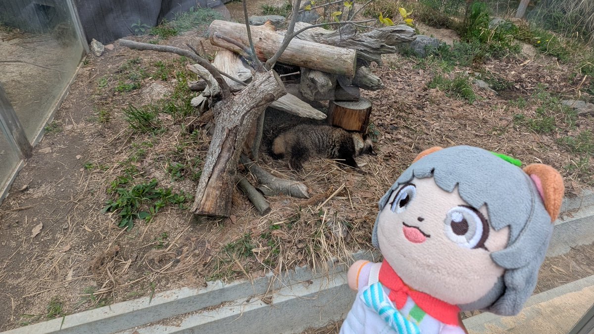 Shengze ソンゼ͛🍃🥜 tweet media