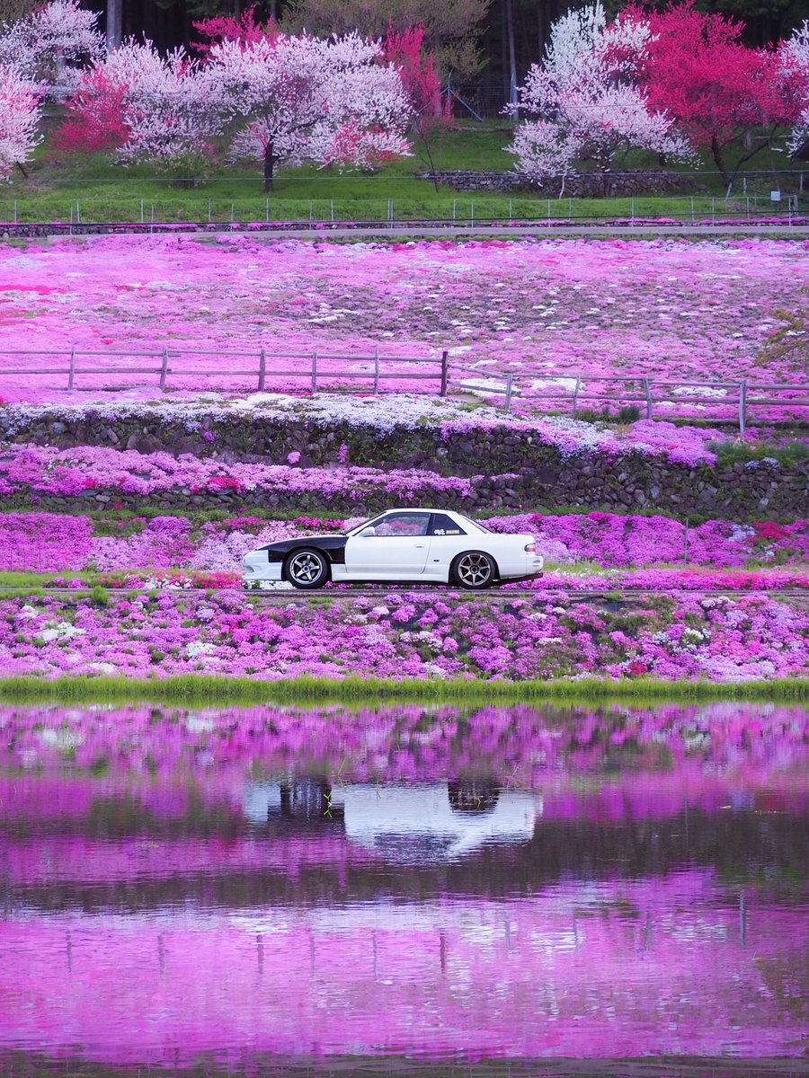 アルコール燃料型人間 tweet media