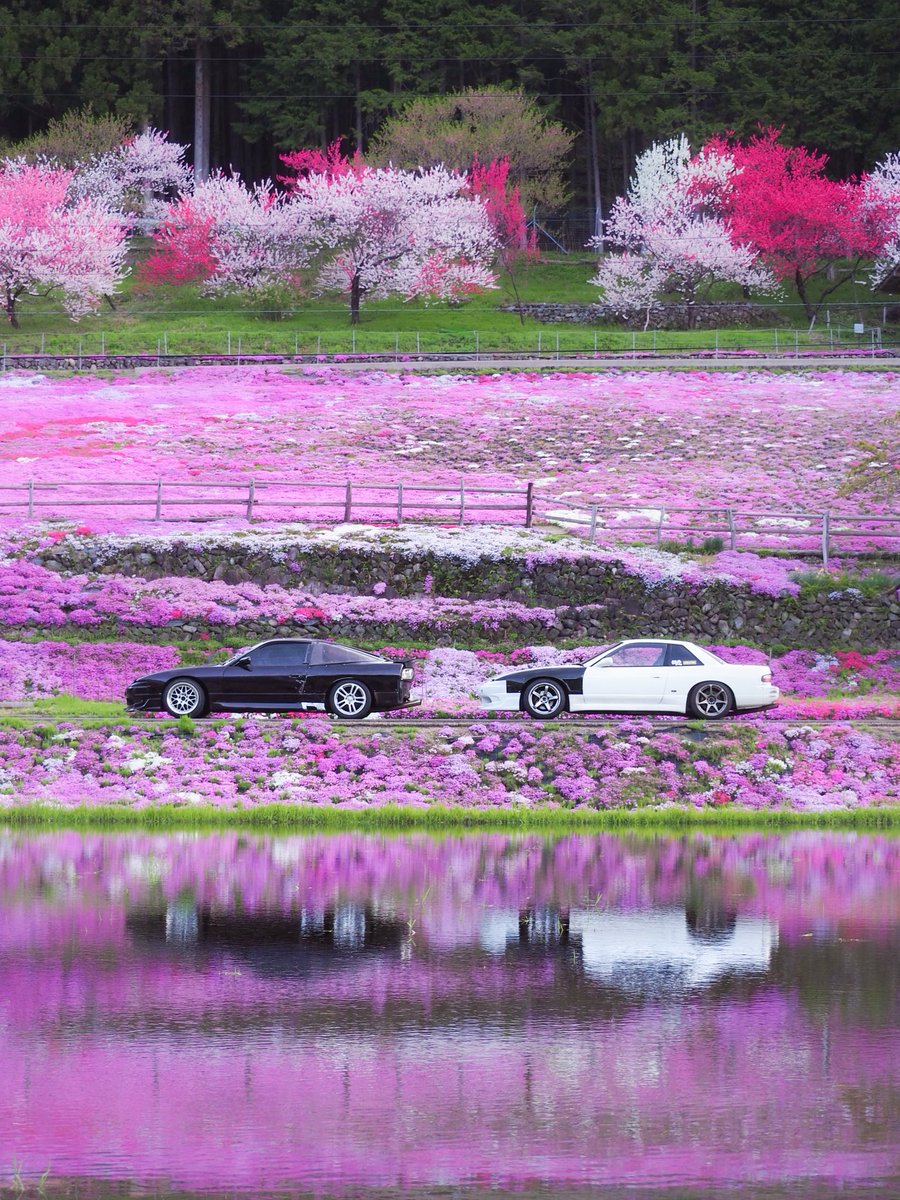 アルコール燃料型人間 tweet media