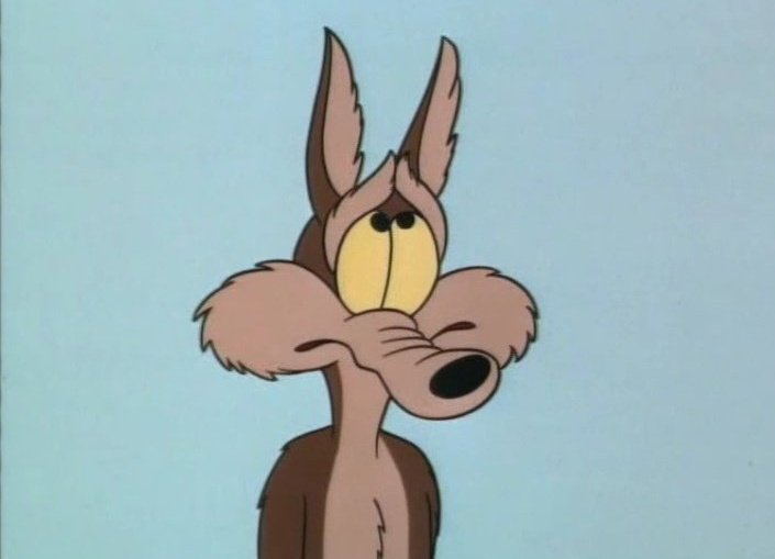 Crash - Coyote SIMP tweet media