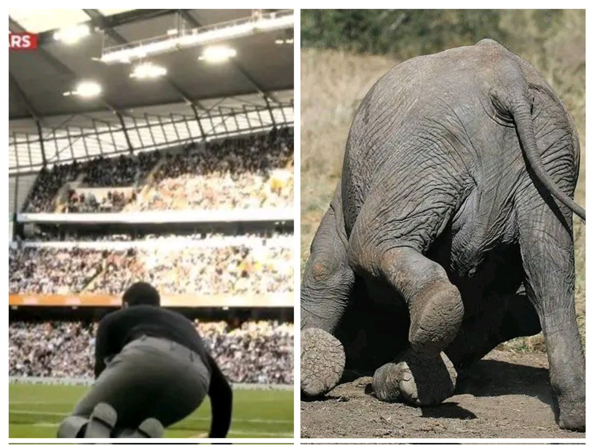 CFC(F_Boy) tweet media