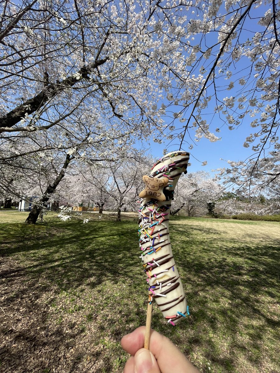 芦野公園の桜まつり、行ってきた🌸

あの桜のトンネルを、
「津軽鉄道」がゆっくり抜けてくる瞬間🚃

息止まるくらい、綺麗だった。

正面の撮影スポットは人で埋まってて断念したけど、それでもいいって思えるくらいの景色。

晴れた空に、満開の桜。
この景色、ちゃんと覚えておきたい🌸