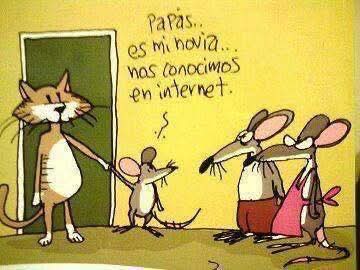 Nisecomo tweet media