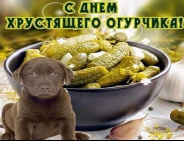 Буханка председатель tweet media