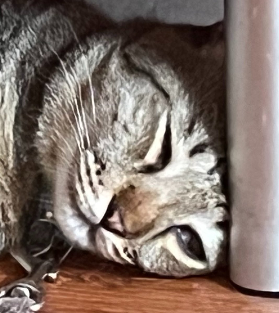 るうぷ氏 tweet media