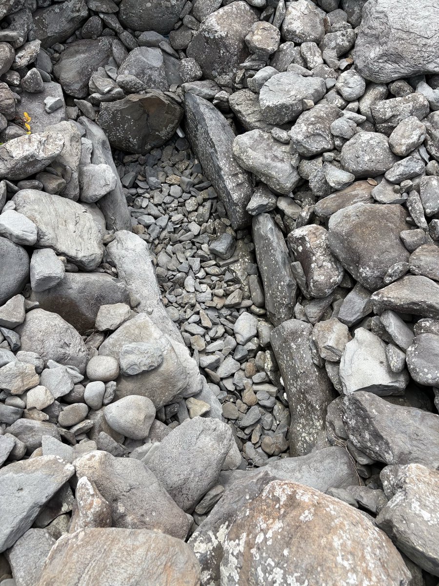 北村 聡  バンドネオン奏者 tweet media