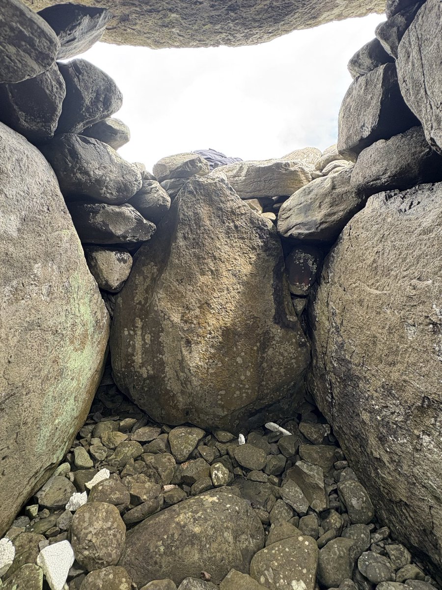 北村 聡  バンドネオン奏者 tweet media