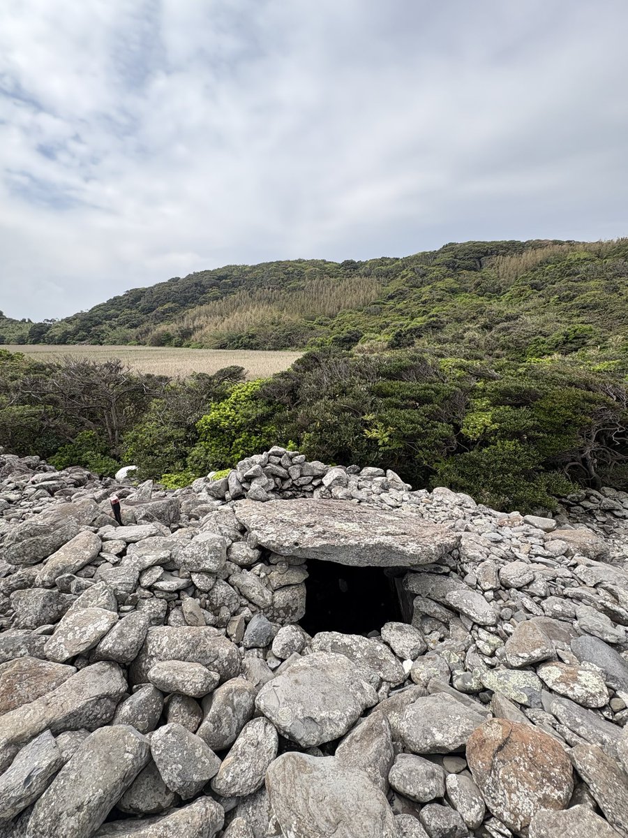 北村 聡  バンドネオン奏者 tweet media