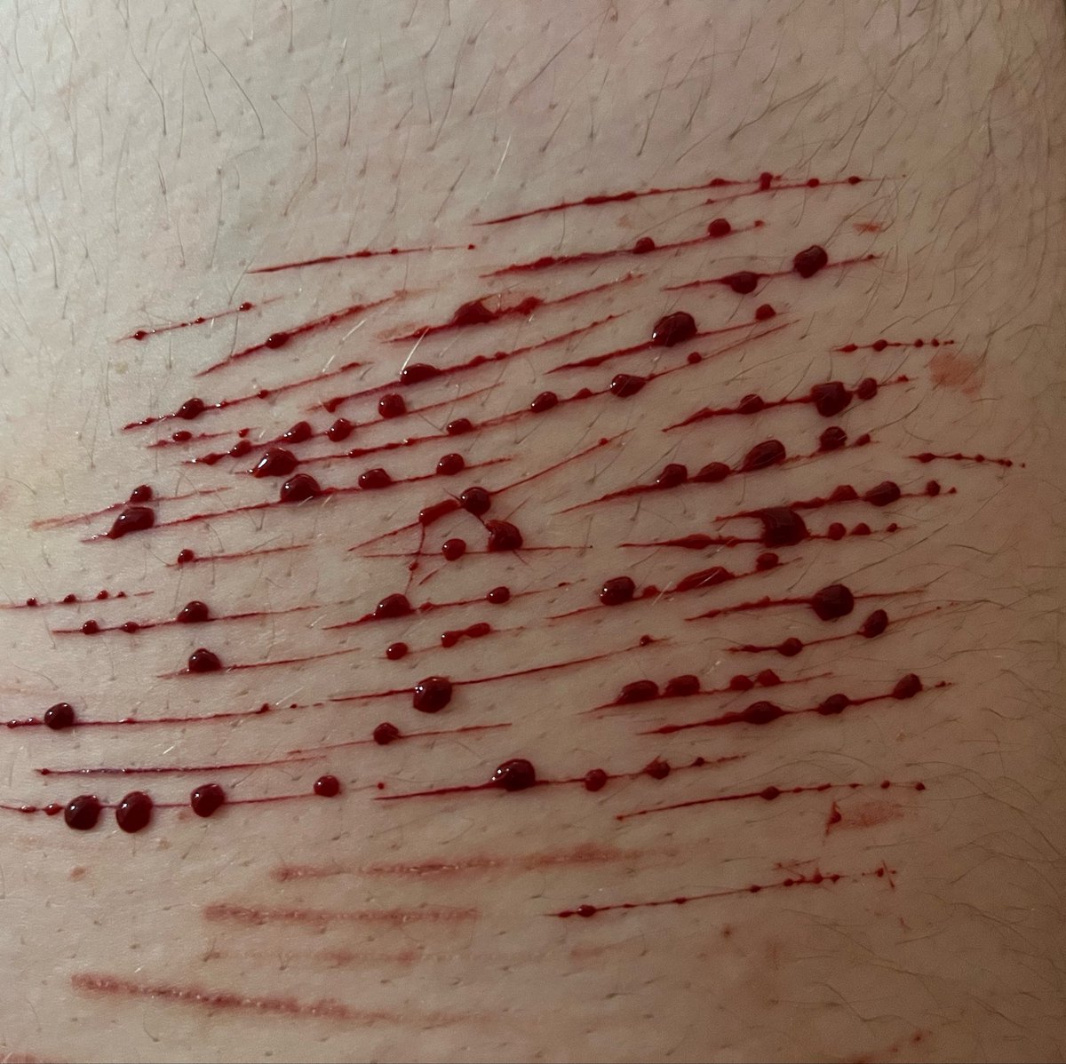 ☆ grace of shtwt ☆ tweet media