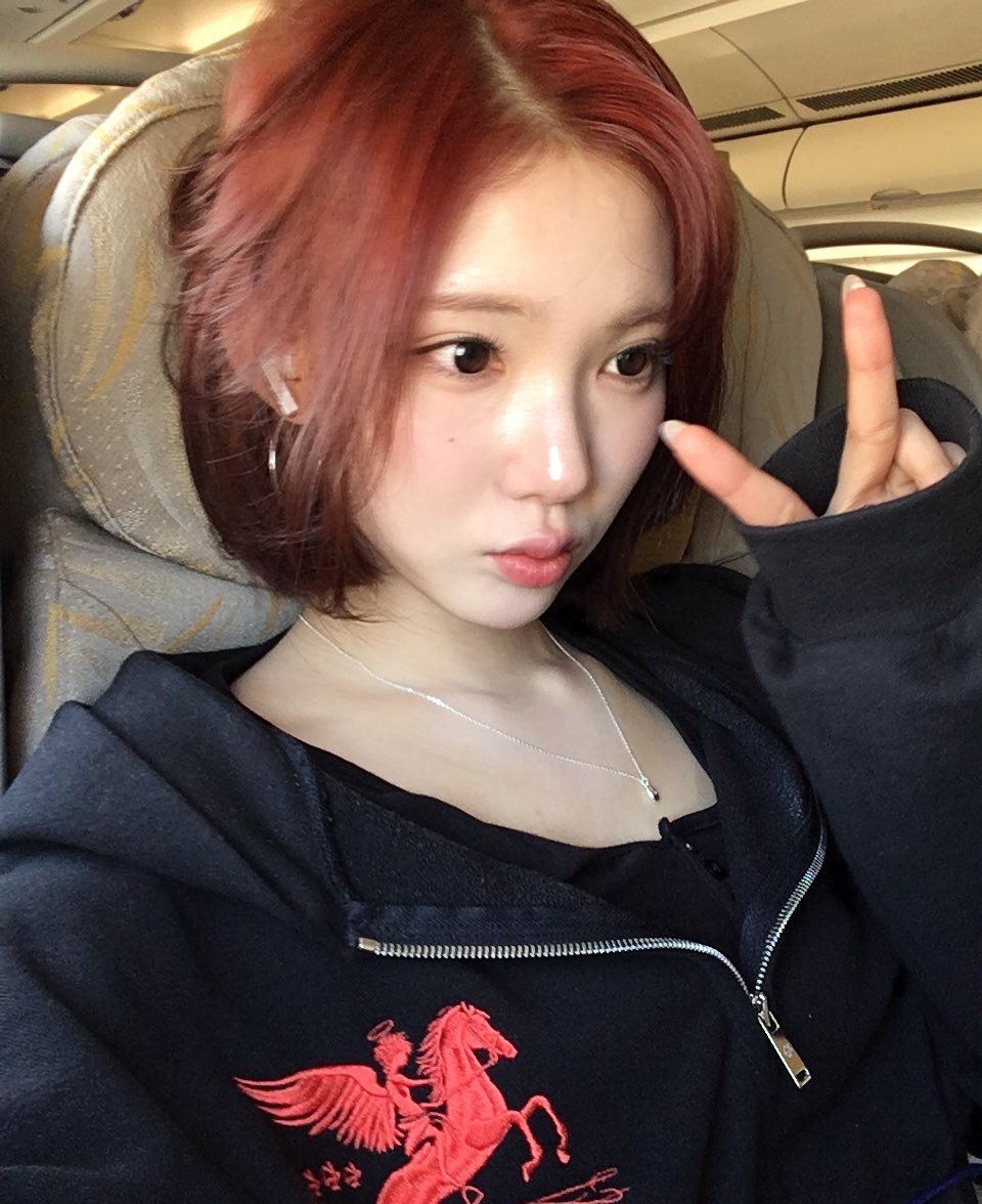 jiwoo pics tweet media