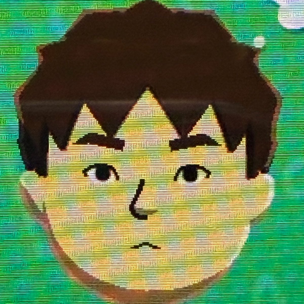 ハトー‼️ tweet media