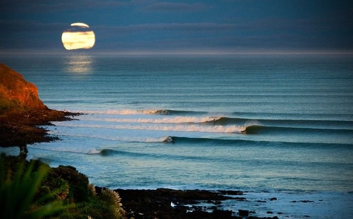 NatureVibe tweet media