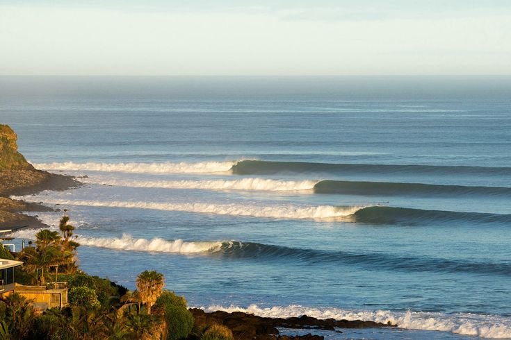 NatureVibe tweet media