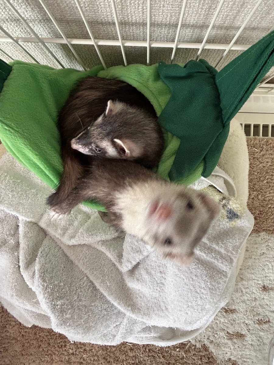 なっちゃん tweet media