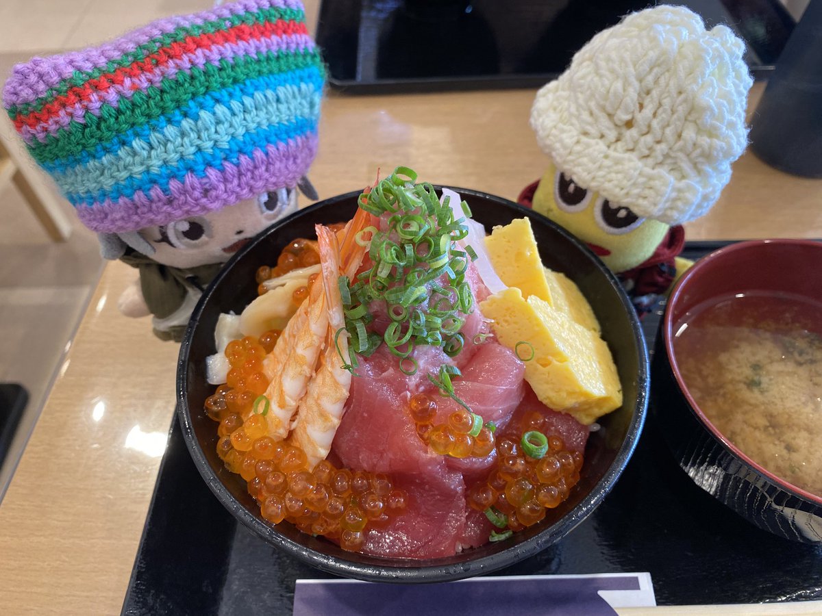 ネズミ親子の方が重い時のぽぴ
あざらしぬいと記念撮影するぽぴぽぴ
盛り盛り海鮮丼を眺めるぽぴ