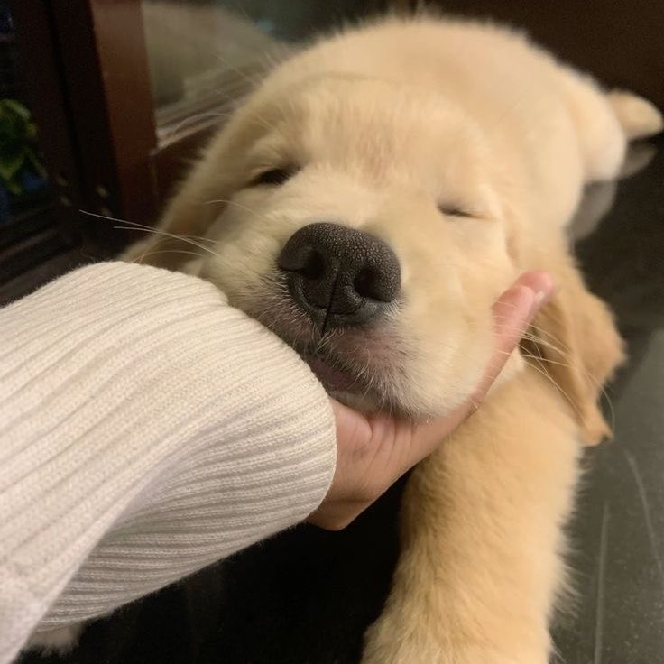 pimpim 𝜗𝜚˚⋆ tweet media