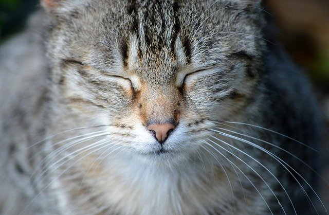 Rickey Bordeaux tweet media