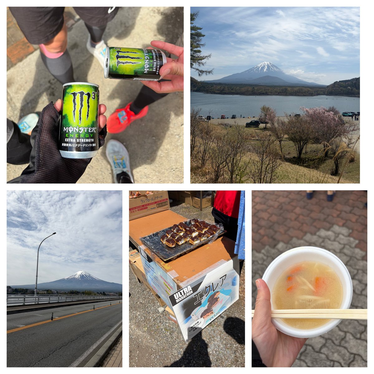 愛犬家あこ tweet media