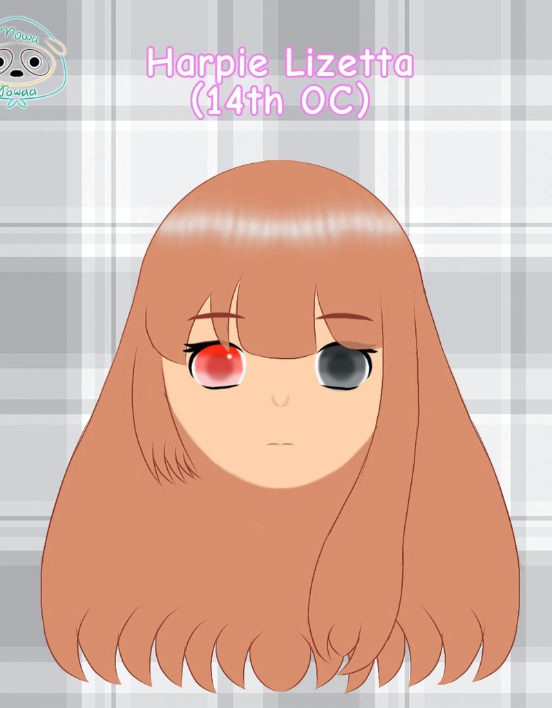 🐧 PRIMA🐧 tweet media