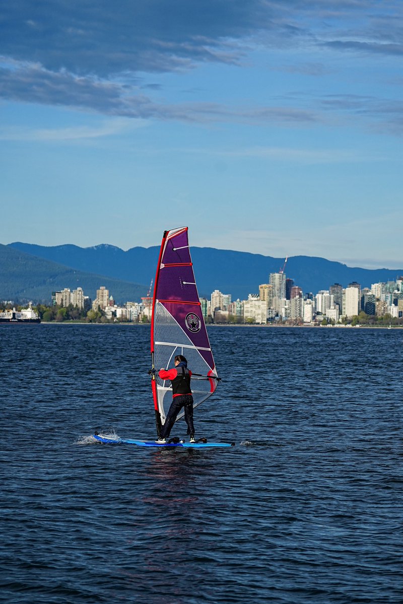 SkykidLan's tweet image. 4.19 今天Canada goose 妈妈依然安稳地待在窝里。头顶的树枝上有一只苍鹭，但似乎没影响鹅的情绪。一切都在慢慢进行着。
#Vancouver