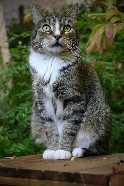 Darwin Elbert tweet media