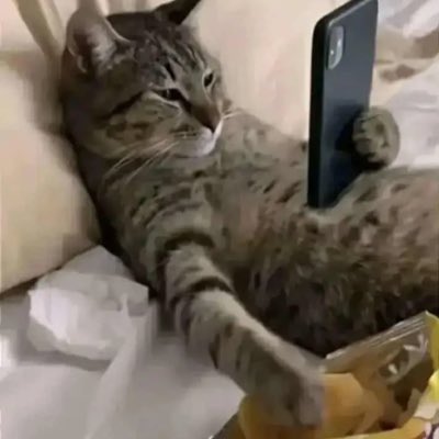 ItsStrayCat's tweet photo. #NewProfilePic https://t.co/kPuu1zDcal