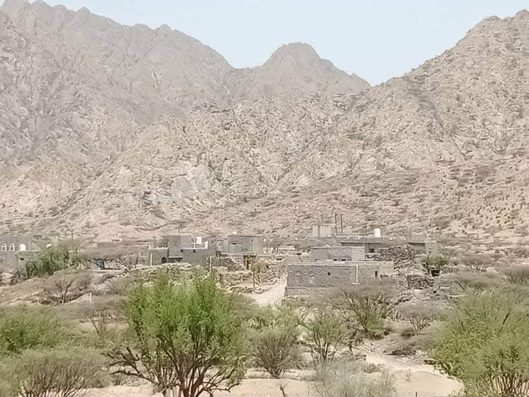 anesmansory's tweet photo. سيارة مشبوهة تستكشف اليورانيوم في كرش الصبيحة لحج جنوب اليمن 

يوم امس دخلت سيارة غريبة وعليها اشخاص غرباء إلى منطقة الجريبة كرش الصبيحة لحج وعاملين استكشاف وصور جوية لجبال (( البرقعة كنحان المهراص والحجر وكل السلسلة الجبلية في منطقة الجريبة كرش )
هذه الجبال غنية بالمعادن جرانيت ونحاس وذهب ومواد كيميائية يعتقد انها تدخل في مادة اليورانيوم وسبق ان حدثت حوادث استخراج مواد معدنية قبل سنوات اغلاق البحث حتى لا تحصل فتنة وصراع بين الصبيحة والقبيطة . 

السلسلة الجبلية محل نزاع لانها وسط بين مناطق الصبيحة والقبيطة  !! 
هذه السيارة المشبوهة اصبحت حديث الناس وشغلهم الشاغل لعدم معرفة الجهه التي تقف خلف الاستكشافات . 

الناس في حالة استنفار واست��راب