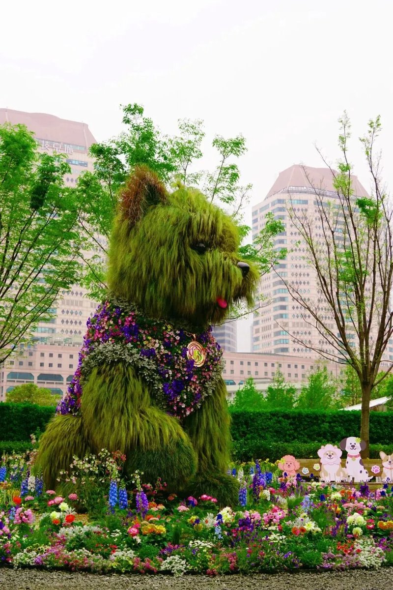 People's Daily, China tweet media