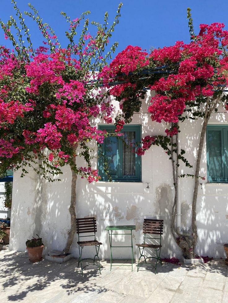 The Nature tweet media