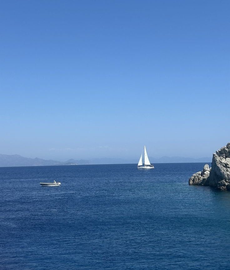 The Nature tweet media