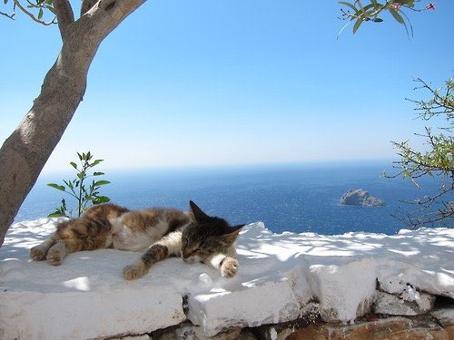 The Nature tweet media