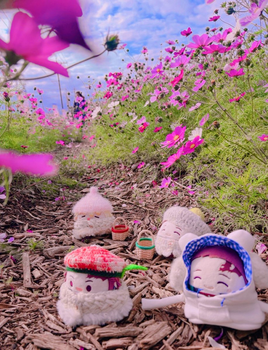 #自慢できるお花とぬいの写真みせて

今年は連れて行ってあげられてないから、来年連れてってあげたいなぁ🥰