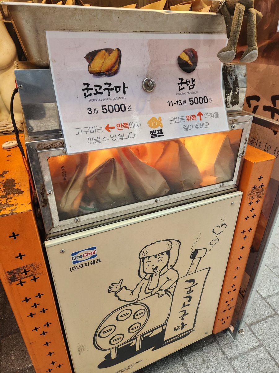 알짜배기 tweet media