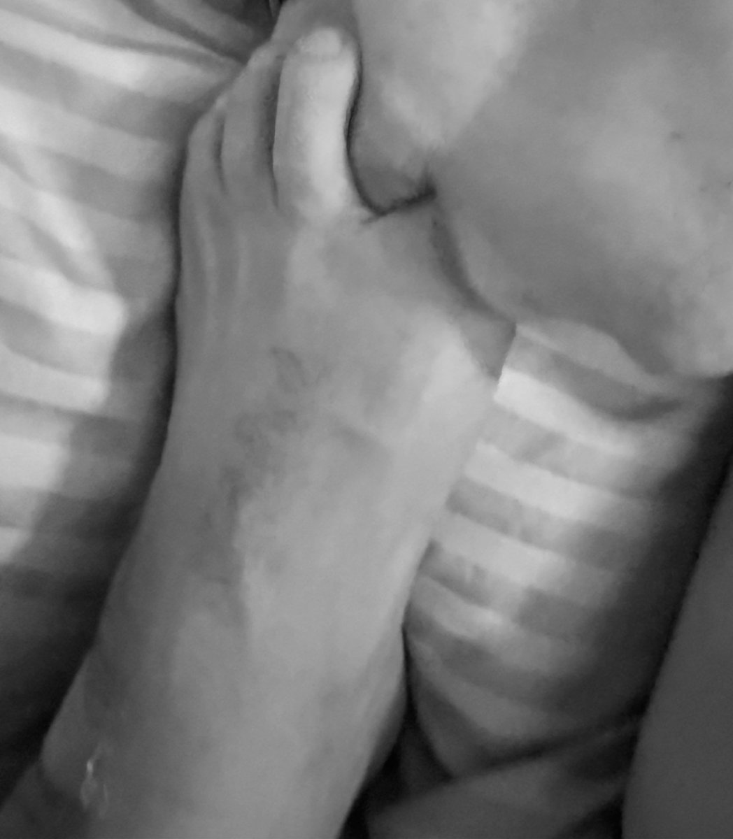 ガテン tweet media