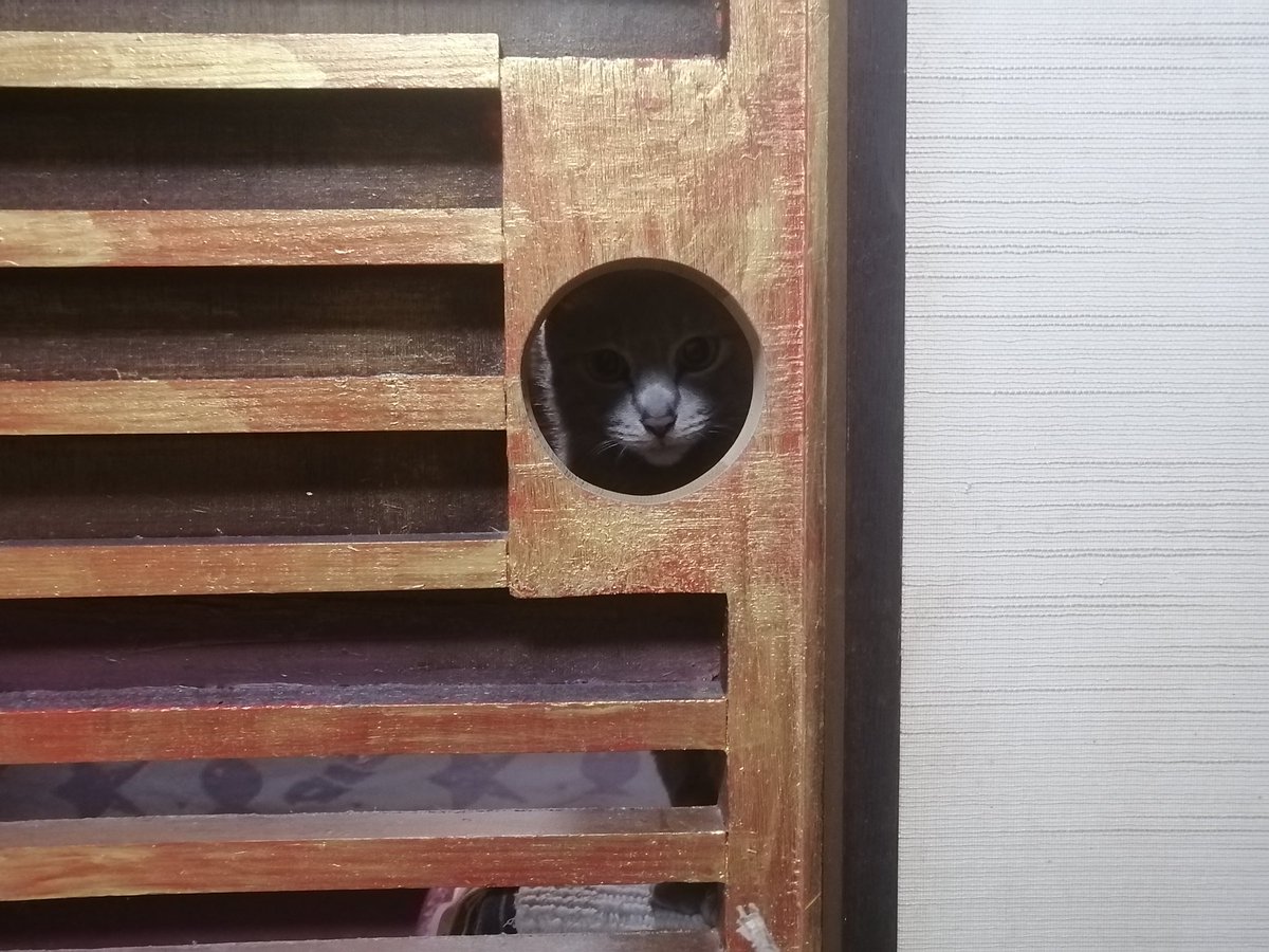 このクレエルくんも特別可愛いでしょ?(*^_^*)ｖ💞✨