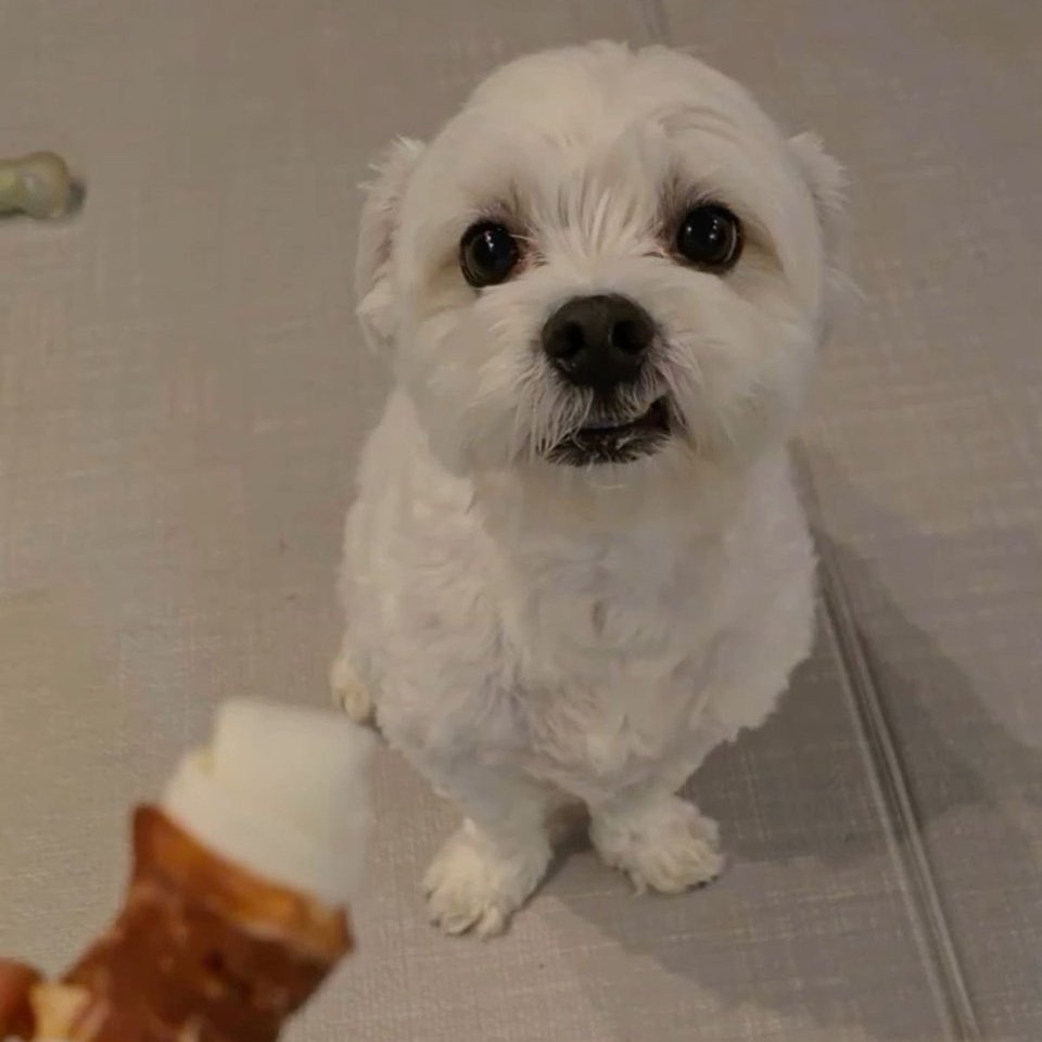 BAI양🍓(rest) tweet media